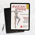 Anatomy Trains Myofascial Meridians for Manual Therapists and Movement Professionals 4th Edition