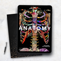 Anatomy Exploring the Human Body