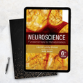 Neuroscience Fundamentals for Rehabilitation 6th Edition